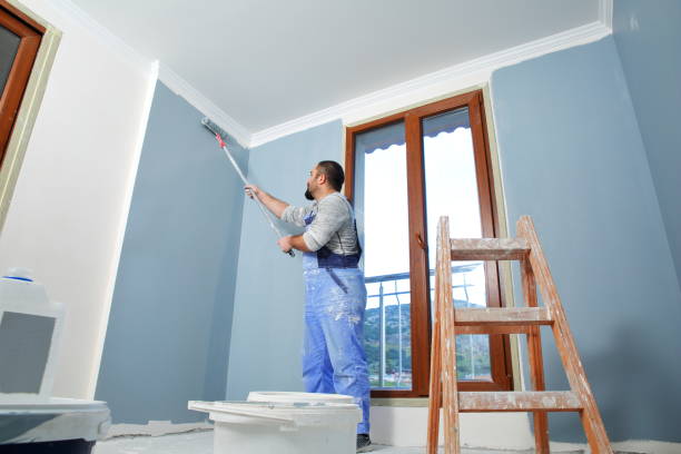  Canton, TX Mold Removal Pros