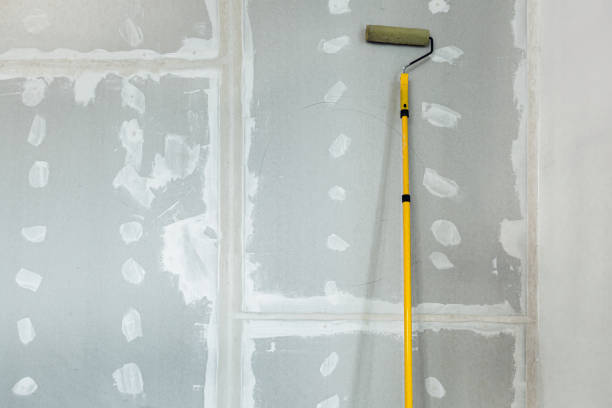 Best Environmental Consulting for Mold Prevention  in Canton, TX